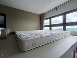 Eco Sanctuary (D23), Condominium #432659131